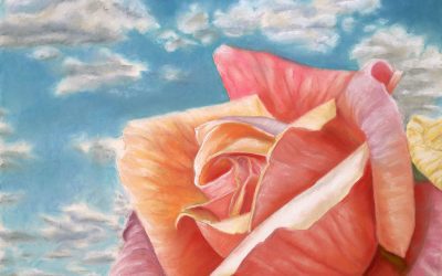Rose Facing Towards Blue Sky with Clouds